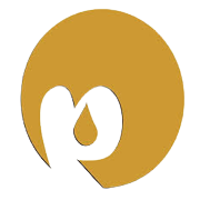 MANORAMA INDUSTRIES LTD