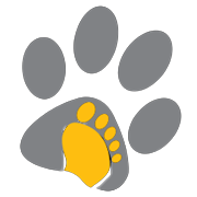 APTECH LIMITED