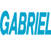 GABRIEL INDIA LTD