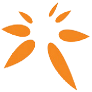 SPANDANA SPHOORTY FIN LTD