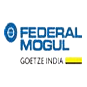 FEDERAL-MOGUL GOETZE (IND