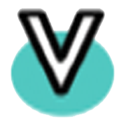 VINNY OVERSEAS LIMITED
