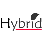HYBRID FINANCIAL SERVICE
