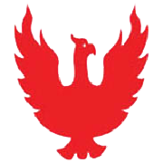 THE PHOENIX MILLS LTD