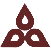 NELCAST LIMITED