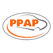 PPAP AUTOMOTIVE LIMITED