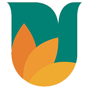 UJJIVAN SMALL FINANC BANK