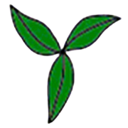 SEPC LIMITED