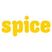 DIGISPICE TECHNOLOGIES LT