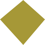 ARTEMIS MED SERVICE LTD