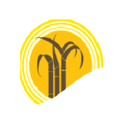 MAWANA SUGARS LIMITED