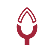 PAKKA LIMITED