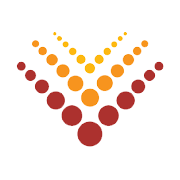 VINSYS IT SERVICES IND LT