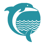 DOLPHIN OFF ENT (IND) L