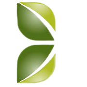 CAPITAL TRUST LIMITED