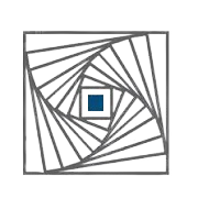 COMPUAGE INFOCOM LTD