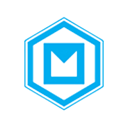MAHARASHTRA SCOOTERS LTD
