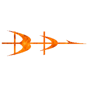 BHARAT DYNAMICS LIMITED