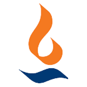 MAX INDIA LIMITED