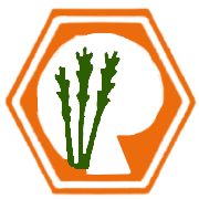 RANA SUGARS LTD.