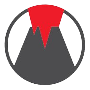 VESUVIUS INDIA LTD