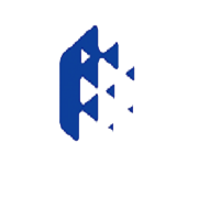 FINE ORGANIC IND. LTD.