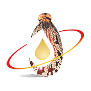 JAYANT AGRO ORGANICS LTD