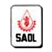 SANWARIA CONSUMER LIMITED