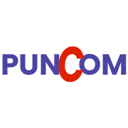 PUNJAB COMMUNICATIONS LTD