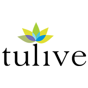 TULIVE DEVELOPERS LIMITED