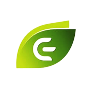 EMERGENT INDUSTRIAL SOLUT