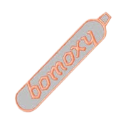 BOMBAY OXYGEN INVESTMENTS