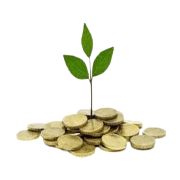 YAMINI INVESTMENTS COMPAN