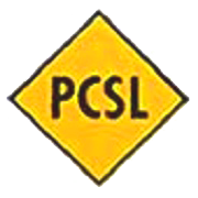 PREMIER CAPITAL SERVICES 
