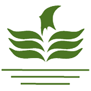 MORARKA FINANCE LTD.