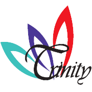 TRINITY TRADELINK LIMITED