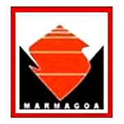 MARMAGOA STEELS LTD.