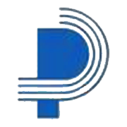PATSPIN INDIA LTD.