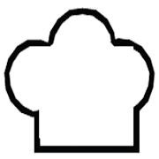 SHAH FOODS LTD.