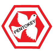 PENTOKEY ORGANY (INDIA) L