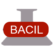 BACIL PHARMA LTD.