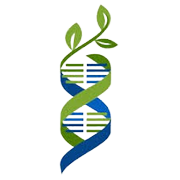 EMMESSAR BIOTECH & NUTRIT