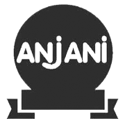 ANJANI SYNTHETICS LTD.