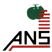 ANS INDUSTRIES LTD