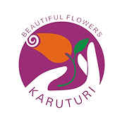 KARUTURI GLOBAL LTD.
