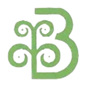 BRIJLAXMI LEASING & FINAN