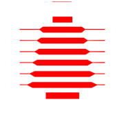 GTN TEXTILES LTD.