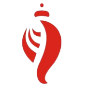 BIRLA COTSYN (INDIA) LTD.
