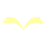 MAX ALERT SYSTEMS LTD.