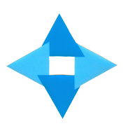 TARINI INTERNATIONAL LTD